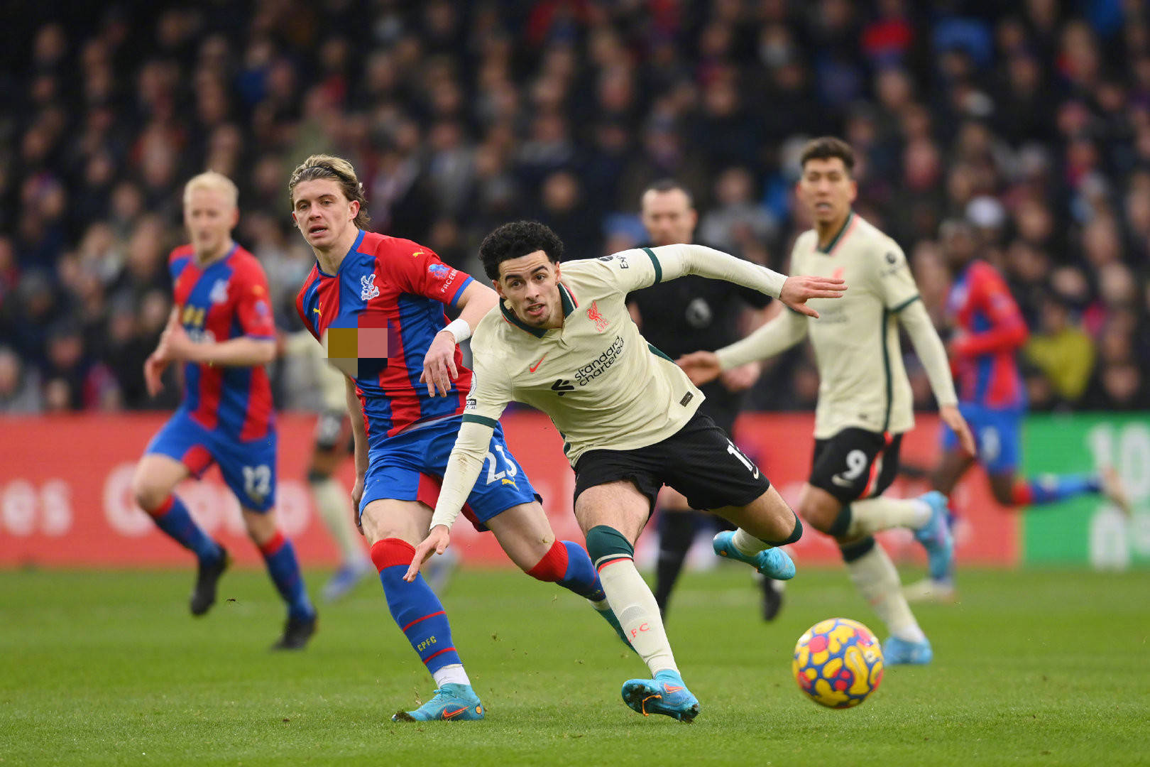 于自己的传 于自己的传